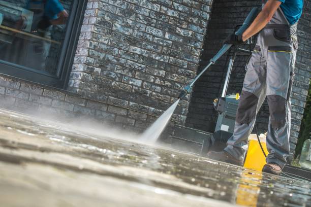 Best Roof Cleaning and Mildew Removal in Prospect, KY
